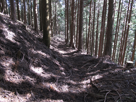 20161216hike (311)